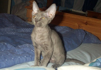 gallery_14472_1998_23953.jpg
