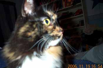 gallery_14472_1998_5354.jpg