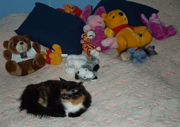 gallery_14472_1998_9294.jpg