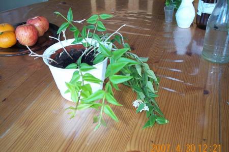 gallery_14472_1999_10216.jpg