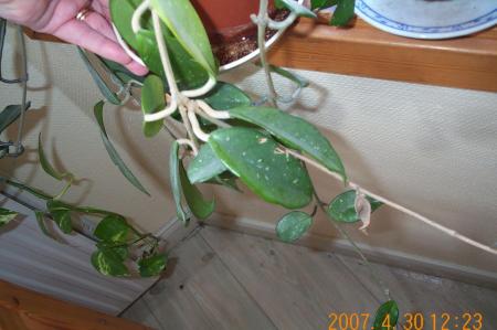 gallery_14472_1999_120179.jpg