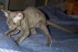 tn_gallery_14472_1998_15066.jpg