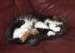 tn_gallery_14472_1998_15888.jpg
