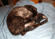 tn_gallery_14472_1998_18718.gif