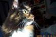 tn_gallery_14472_1998_5354.jpg