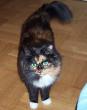tn_gallery_14472_1998_7000.jpg