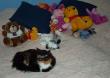tn_gallery_14472_1998_9294.jpg