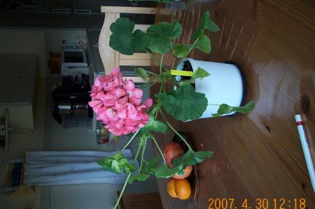 gallery_14472_2000_123975.jpg