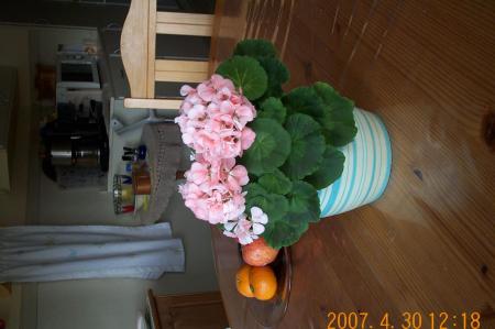 gallery_14472_2000_56904.jpg