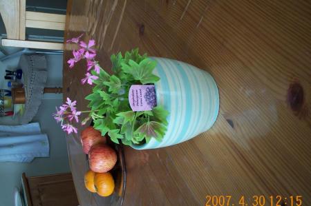 gallery_14472_2000_6434.jpg