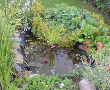 gallery_14472_2002_27102.jpg
