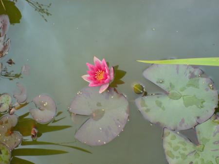 gallery_14472_2002_56266.jpg