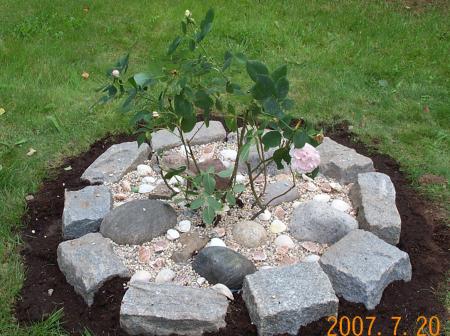 gallery_14472_2002_76785.jpg