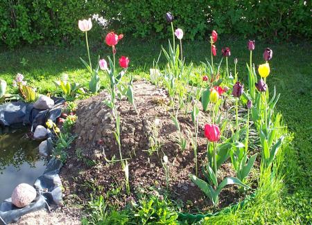 gallery_14472_2004_321096.jpg