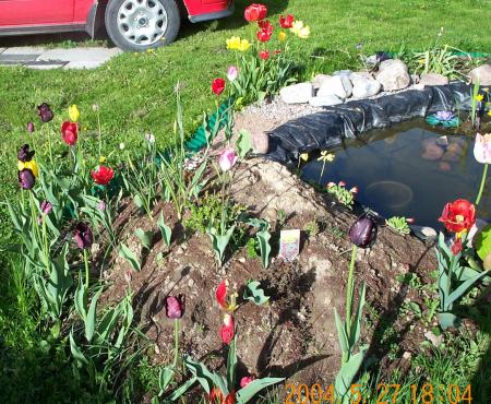 gallery_14472_2004_364907.jpg