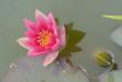 tn_gallery_14472_2002_47565.jpg