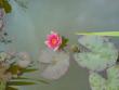 tn_gallery_14472_2002_56266.jpg