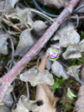 gallery_5307_2014_38982.jpg