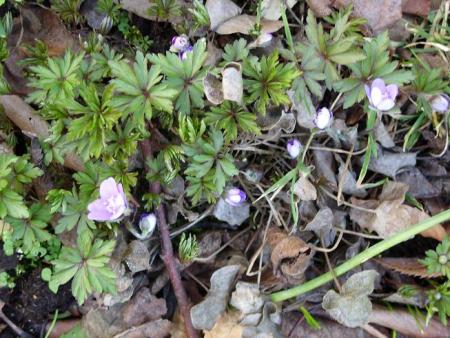 gallery_5307_2014_96471.jpg