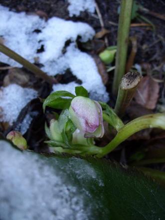 gallery_5307_2015_46466.jpg