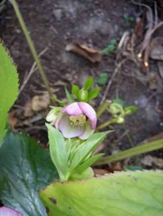gallery_5307_2015_82276.jpg