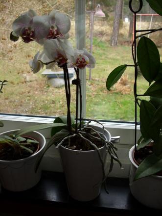 gallery_5307_545_75137.jpg