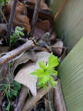 gallery_5307_2014_51601.jpg