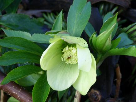 gallery_5307_2015_15383.jpg