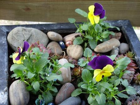 gallery_5307_2014_103151.jpg