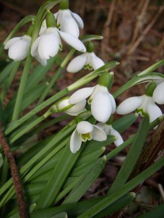 gallery_5307_2014_26362.jpg