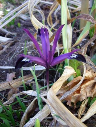 gallery_5307_2014_66911.jpg