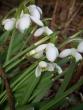 tn_gallery_5307_2014_26362.jpg