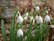 tn_gallery_5307_2014_49776.jpg