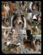 tn_gallery_5429_2022_135449.gif