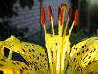 tn_gallery_6592_286_186138.jpg