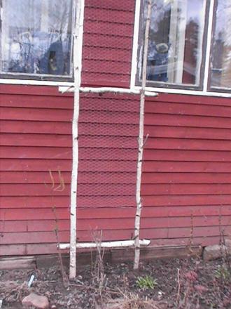 gallery_10191_1987_118910.jpg