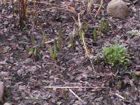 gallery_10191_1987_122053.jpg