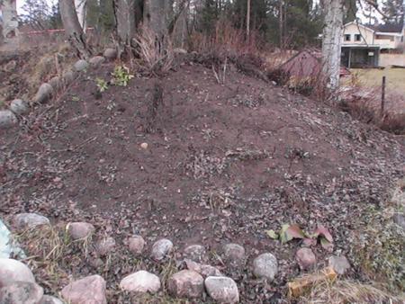 gallery_10191_1987_165876.jpg