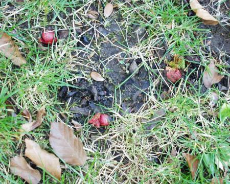 gallery_8024_858_64320.jpg