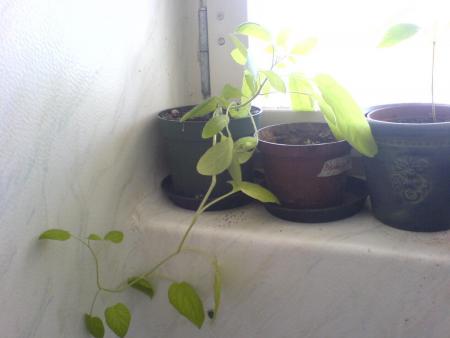 gallery_10257_418_137913.jpg