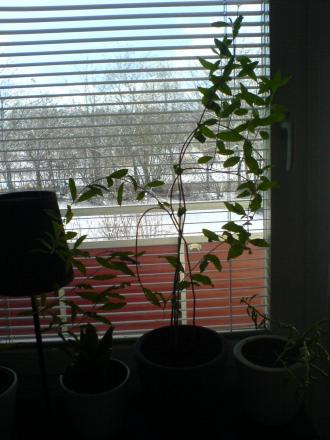 gallery_10257_418_248757.jpg