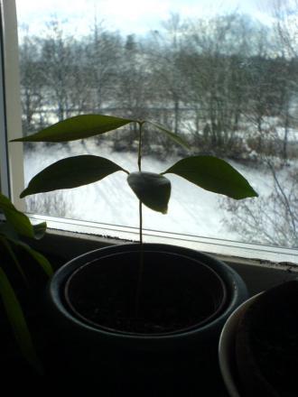 gallery_10257_418_9505.jpg