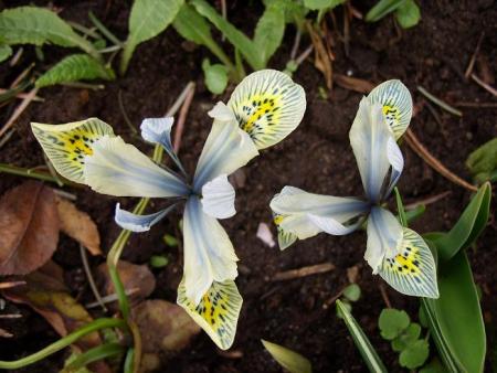 gallery_5307_2014_23321.jpg