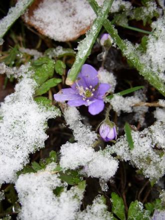 gallery_5307_2014_37285.jpg