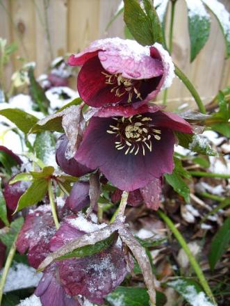 gallery_5307_2015_38214.jpg