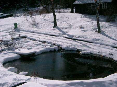 gallery_9911_2057_132784.jpg