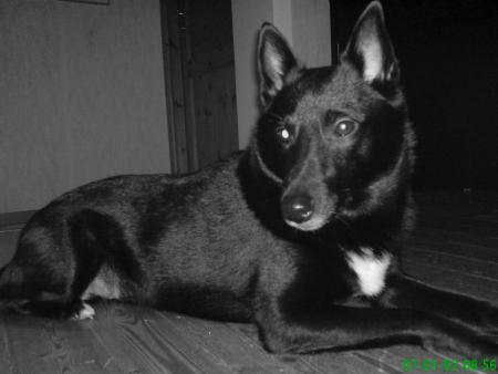 gallery_14436_2059_24877.jpg