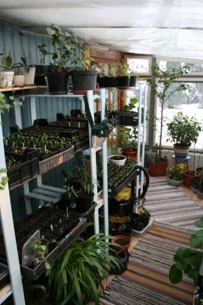 gallery_12739_2069_1276.jpg