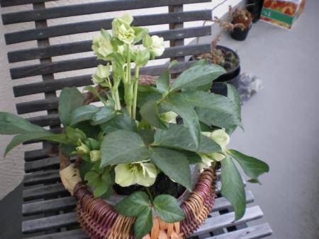 gallery_13141_1810_45388.jpg