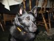 tn_gallery_4113_1871_3539.jpg